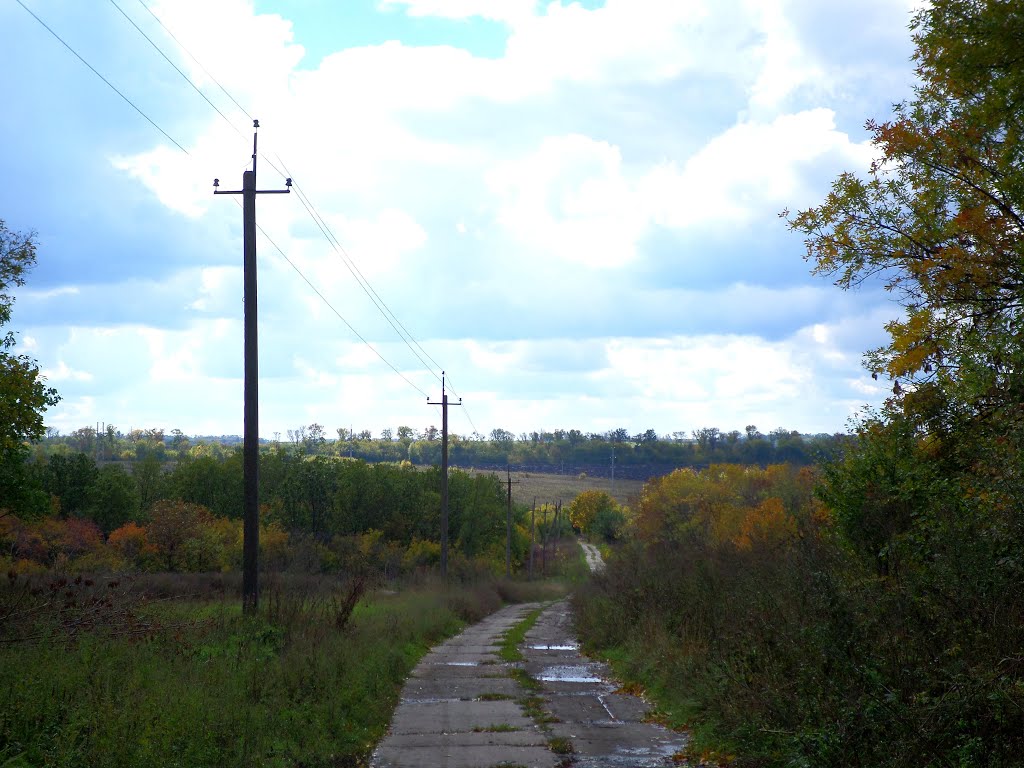 В черте поселка