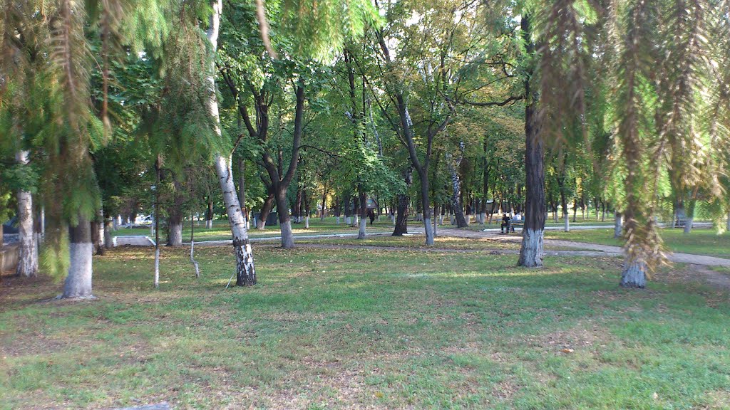 bogodukhiv park