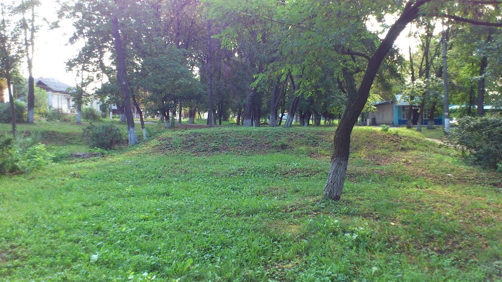 Bohodukhiv