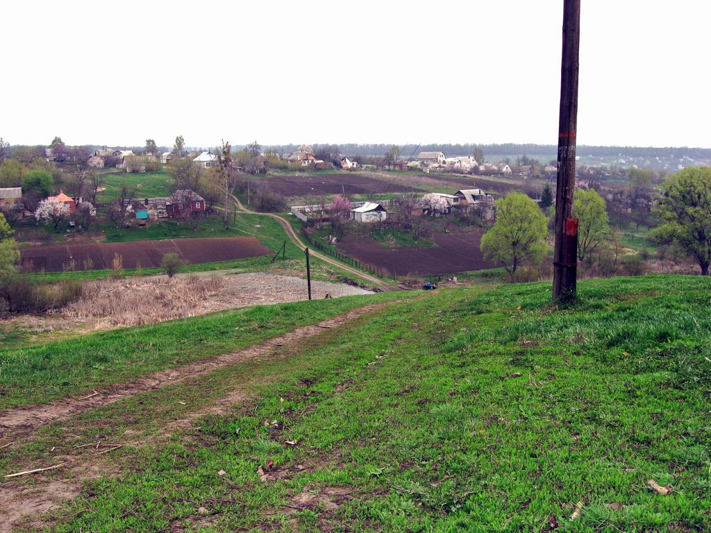 Борки Гора