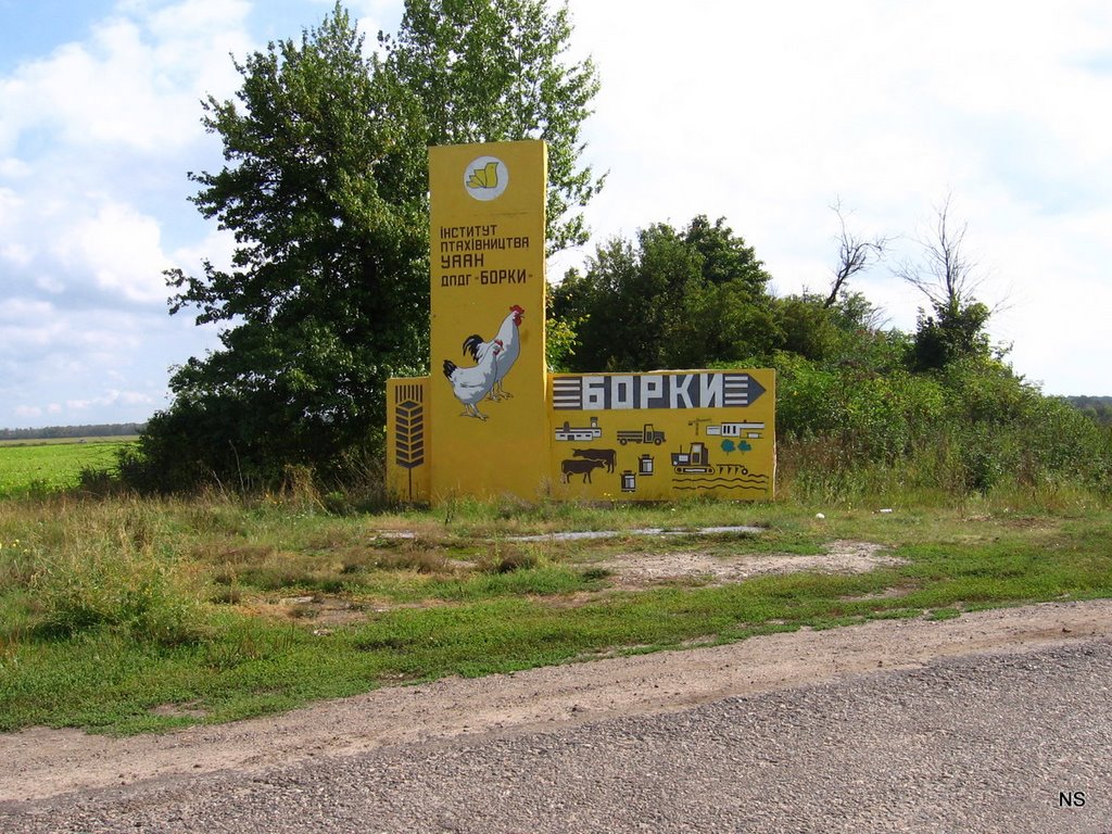Поворотный знак на славное село Борки