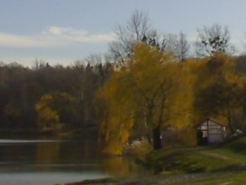Golden November