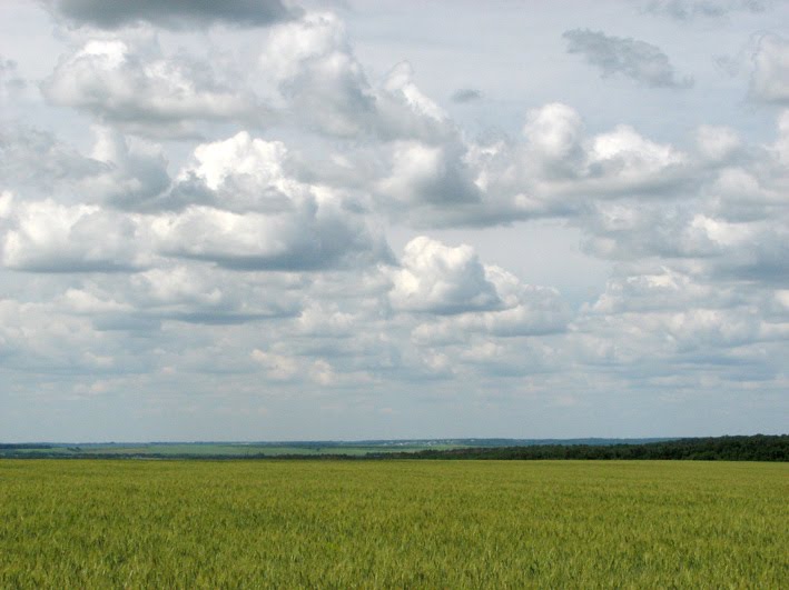Украина