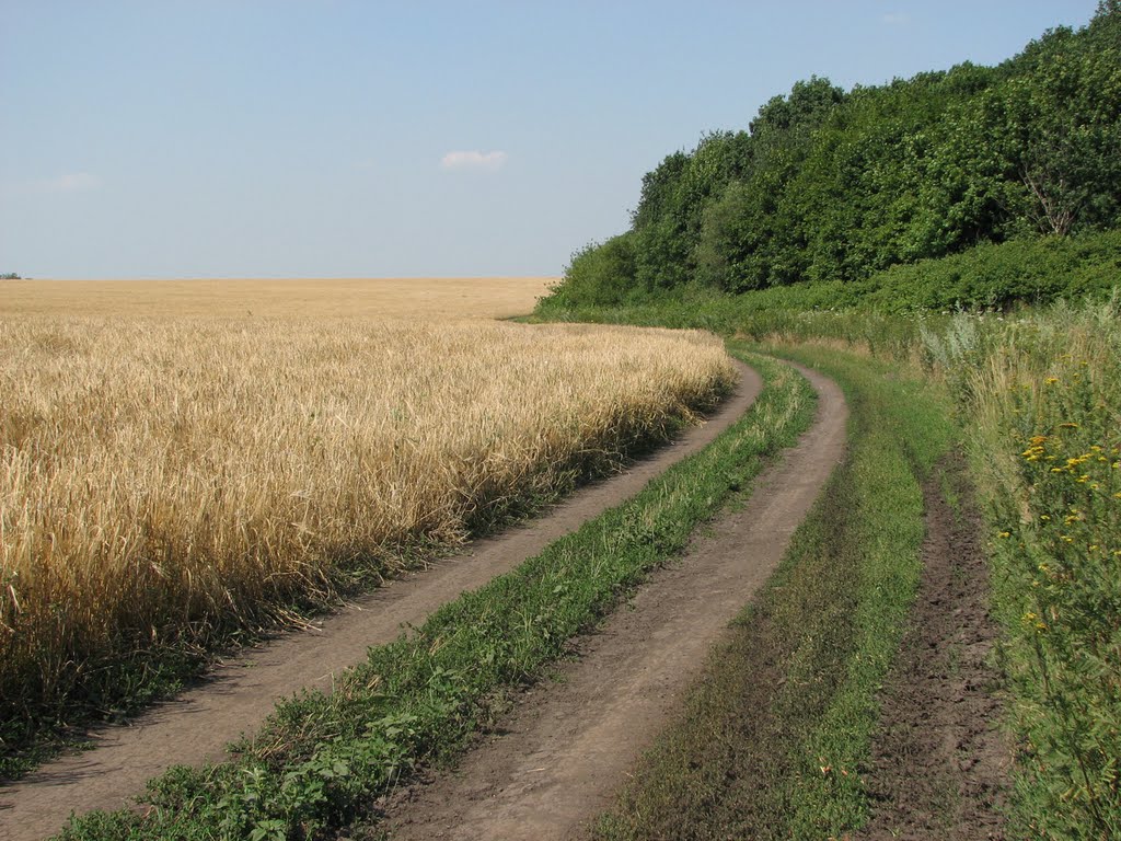 Лето.