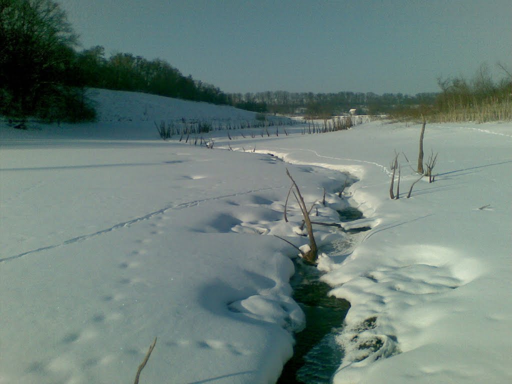 a River of Birky