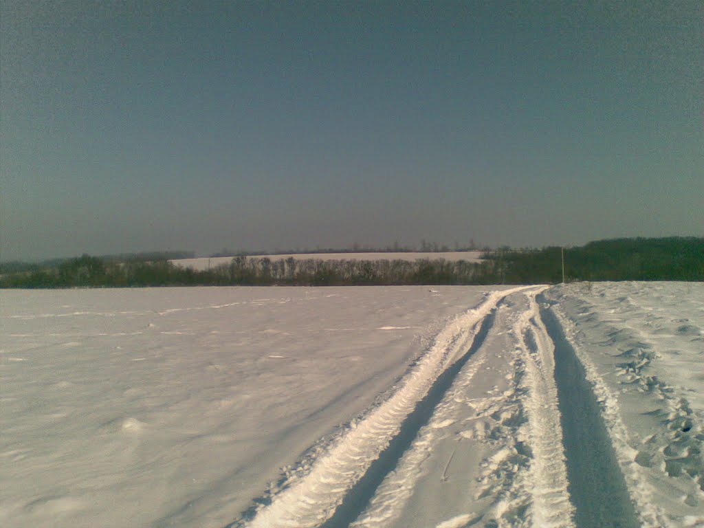 Path to anywhere ...