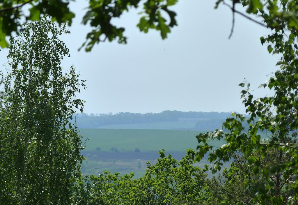 Вид с горы