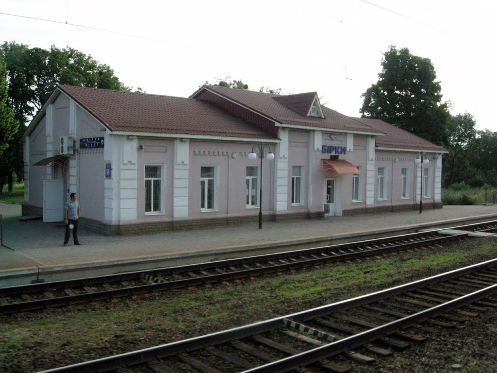 Ст. Борки