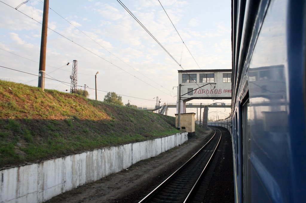View from the Train