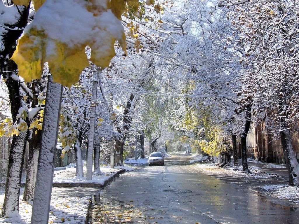 First snow. Karpovskaya str. Nov 2006