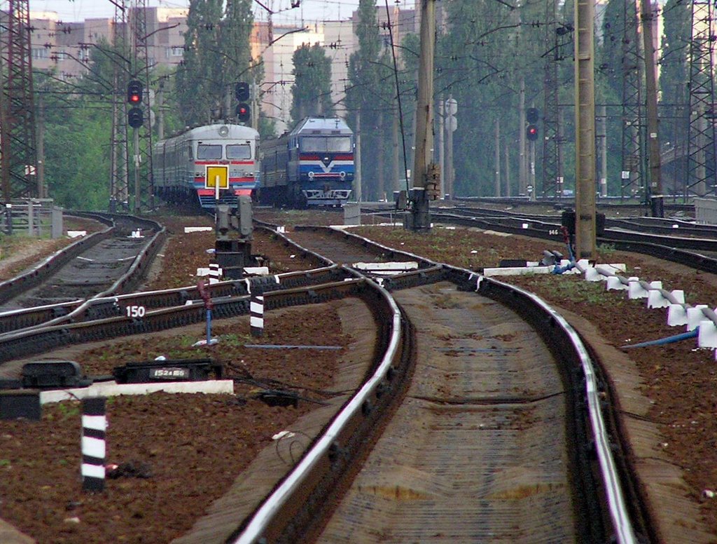 Train racing. May 2005