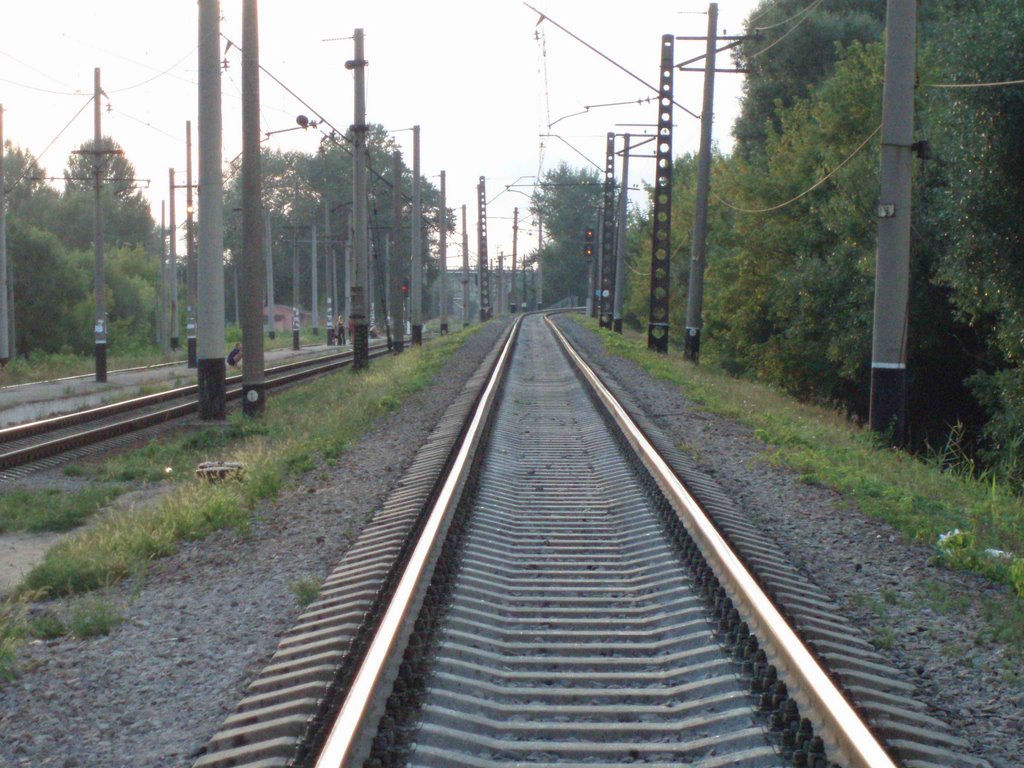 the rails on Novozhanovo