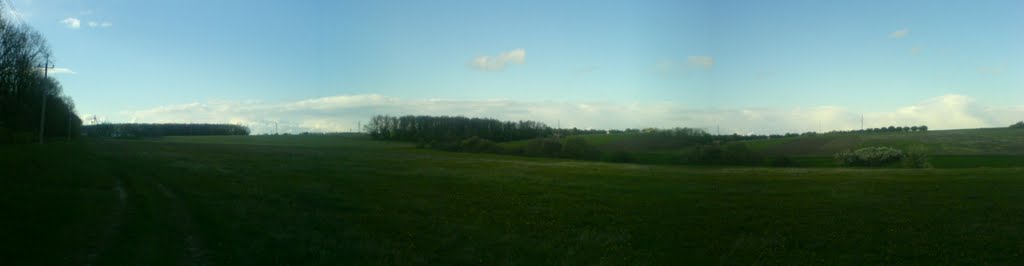 Будянская  панорама