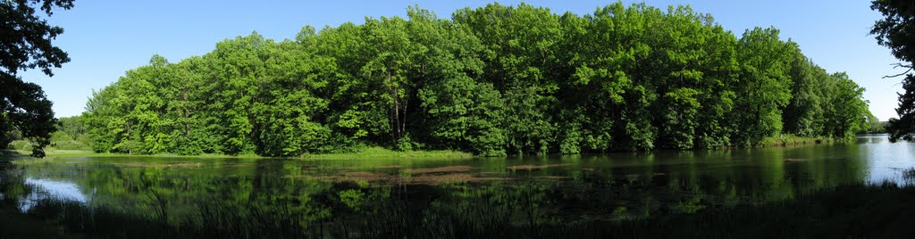 Pond