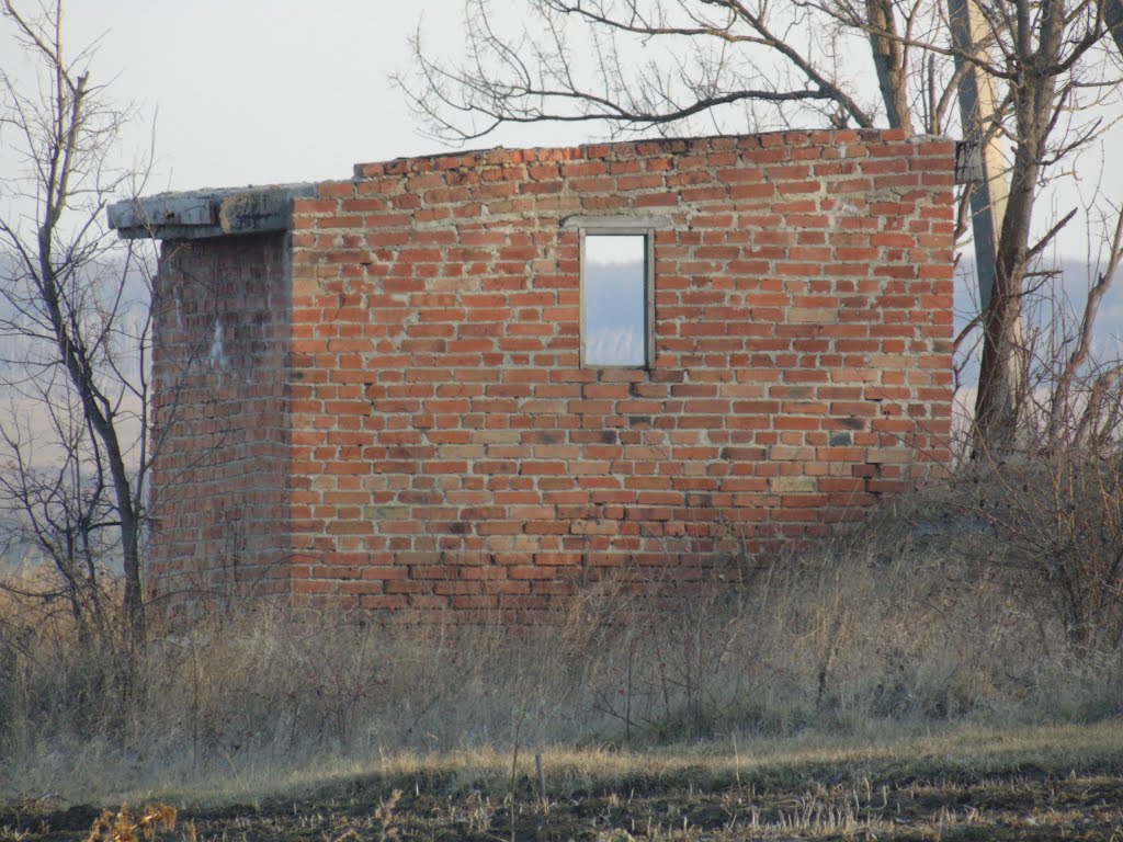 Руина