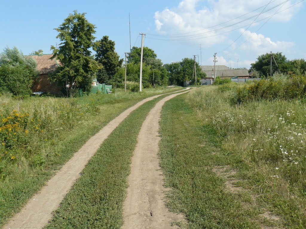 Валки,окраина.