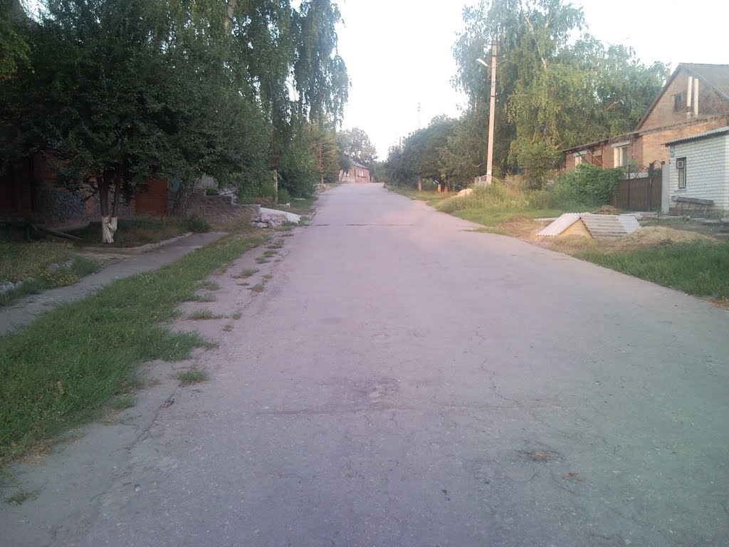 Валки,ул.Борща.