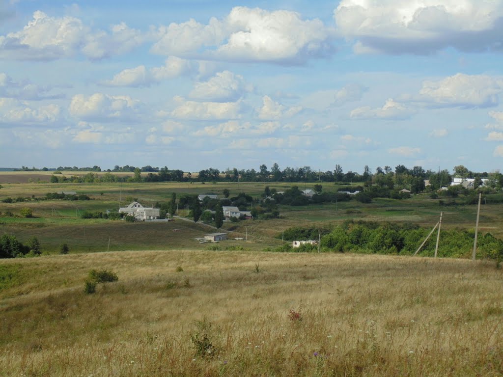 ул.Ломоносова (дальняя улица)
