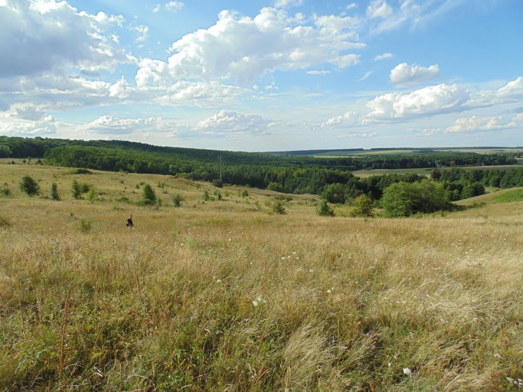 Поле