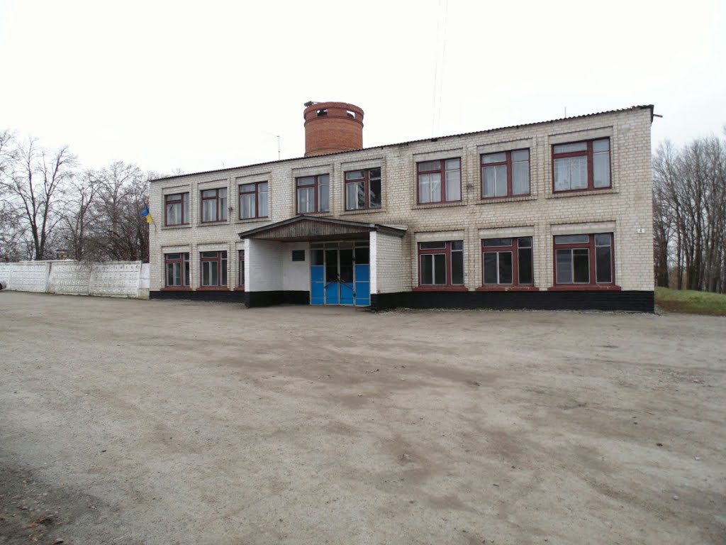 ск."Колос"