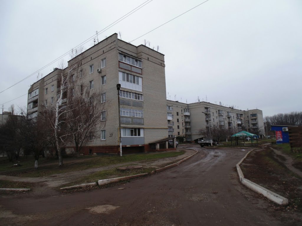 37-й дом
