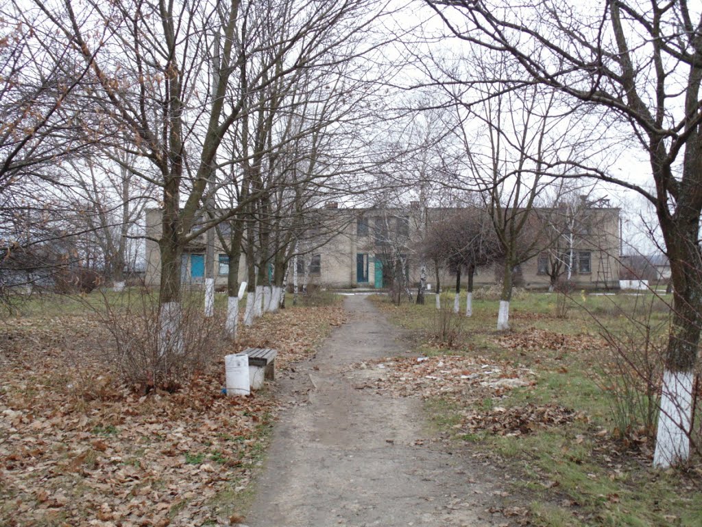 ЦРЛ (инфекционка)
