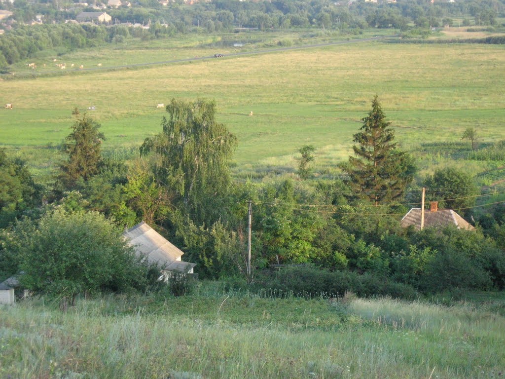 Луг.