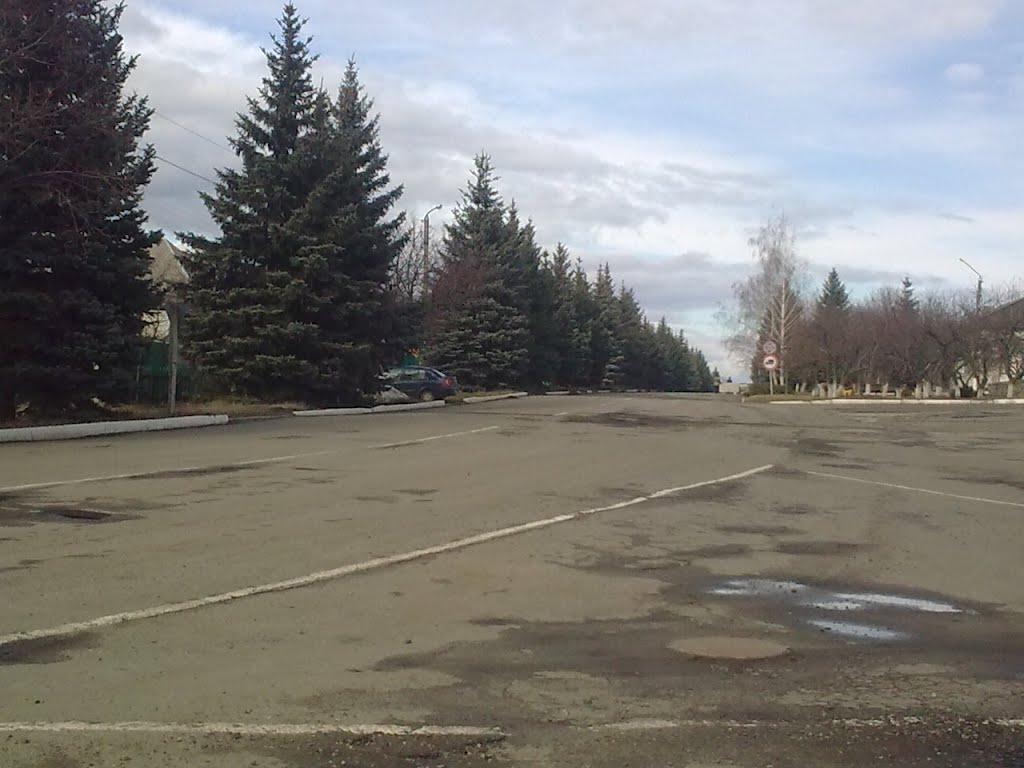 Дорога в центр.