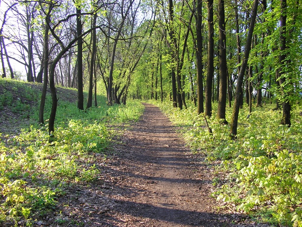 Velikiy Burluk 2