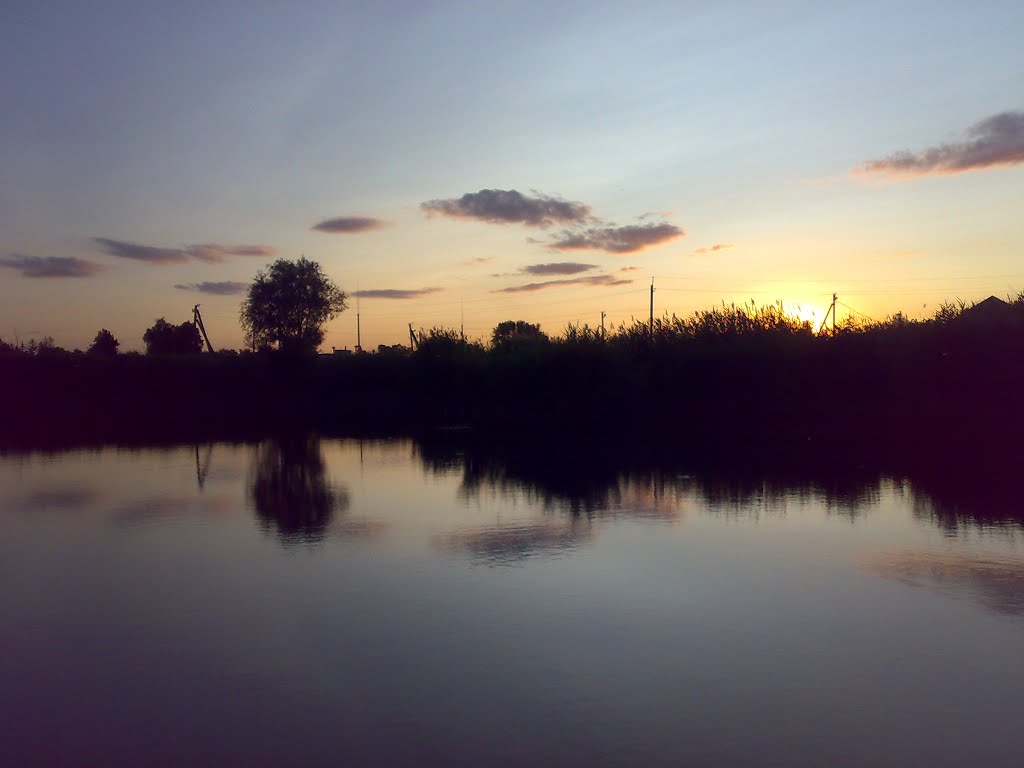 Зарой