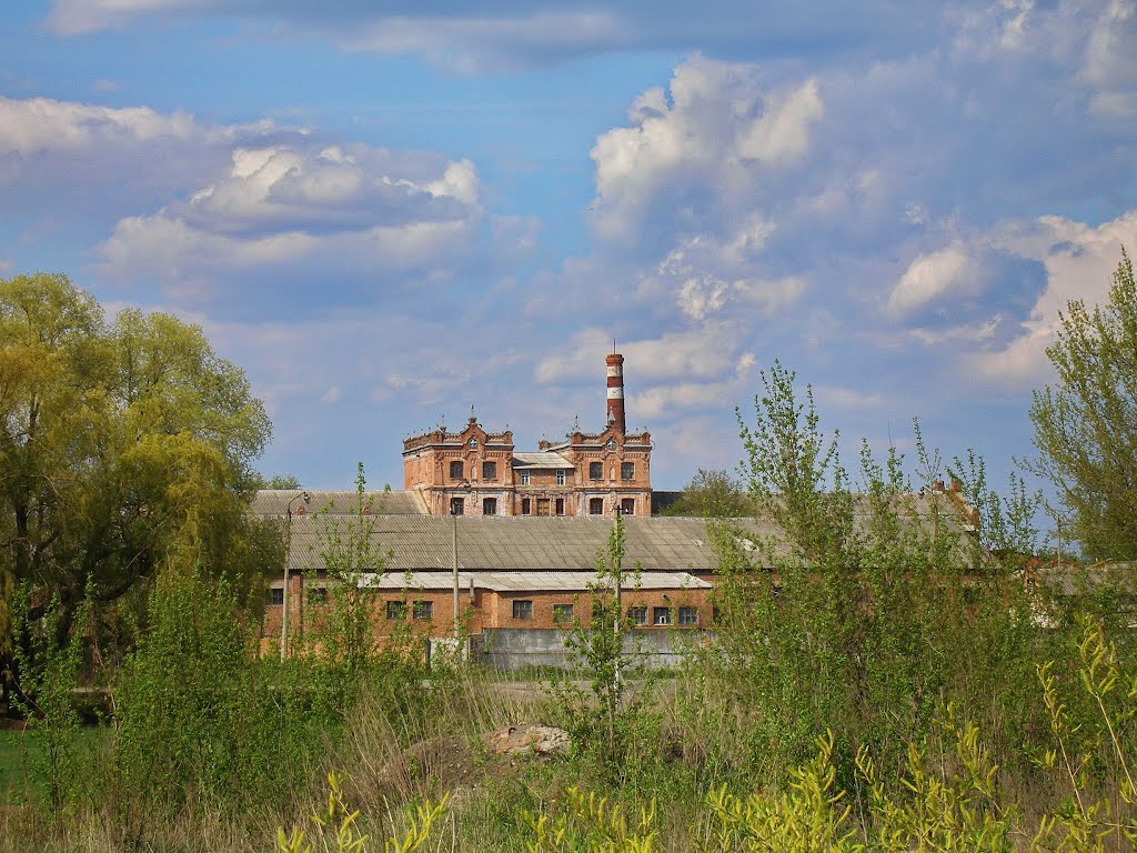 г.Волчанск старая фабрика