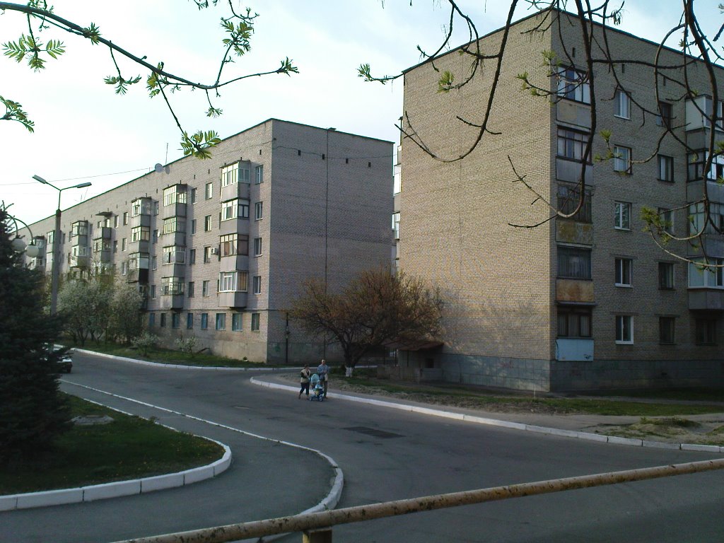 дома 100 и 101