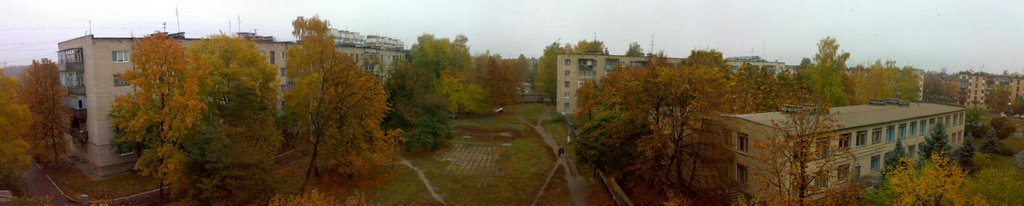 My yard