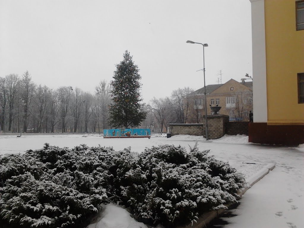 Классная елка возле ДК (Иллюминация - супер). Зима 2013