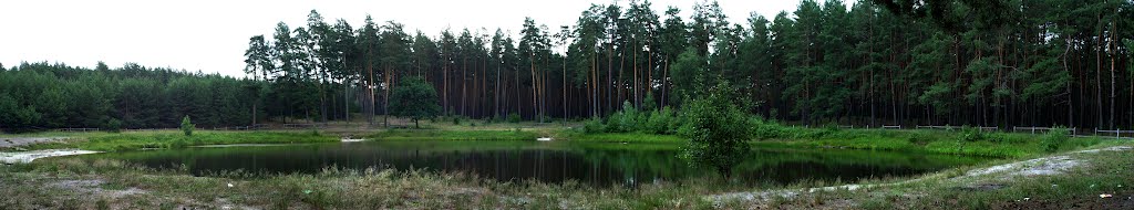 Pine lake