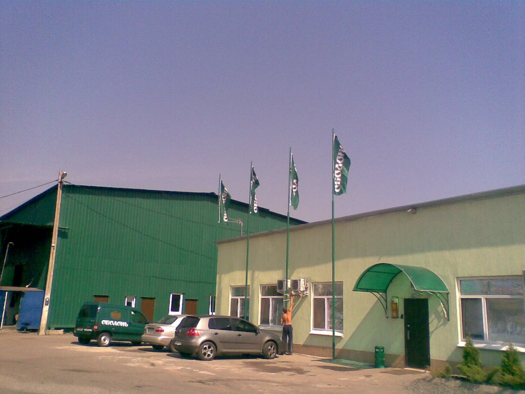 АЛЬЯНС