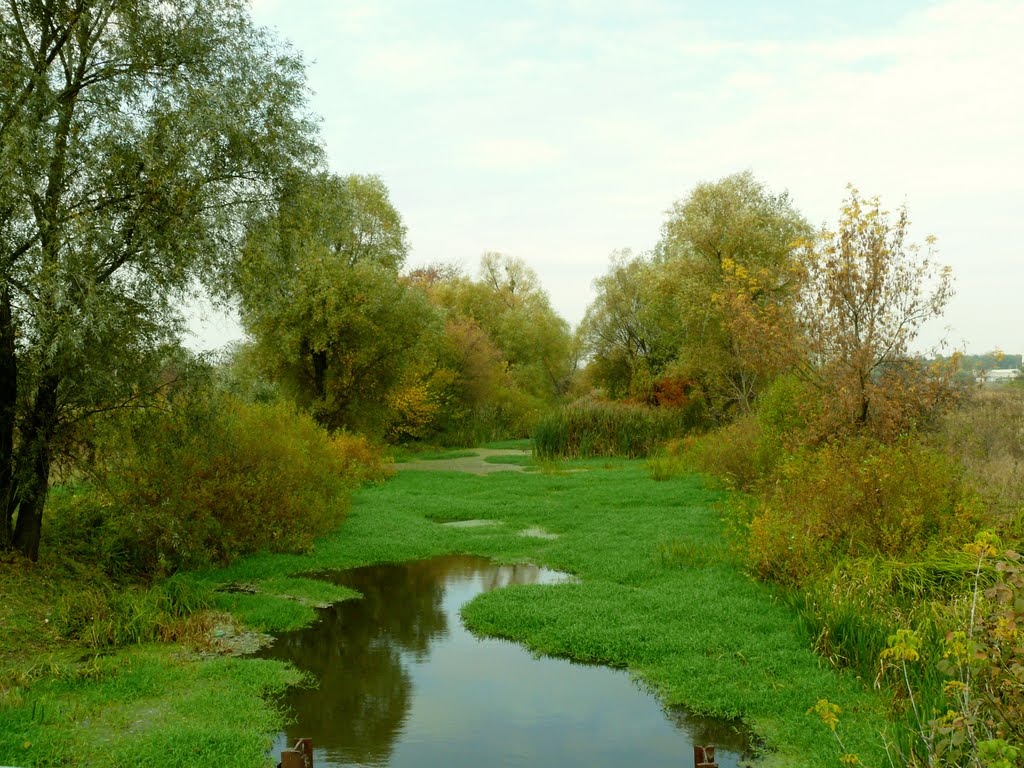 Дергачи, р. Лопань