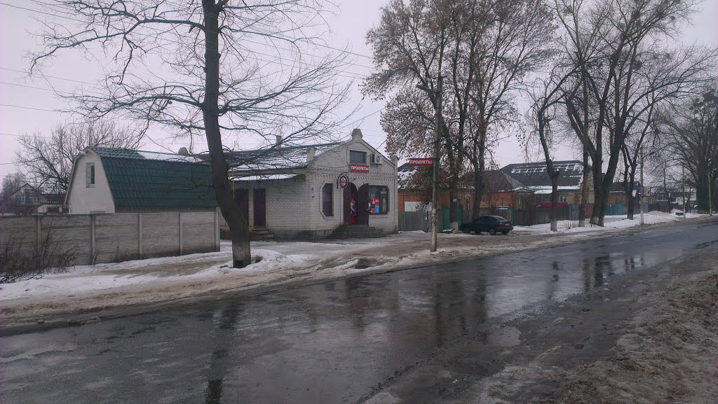 Пiски.