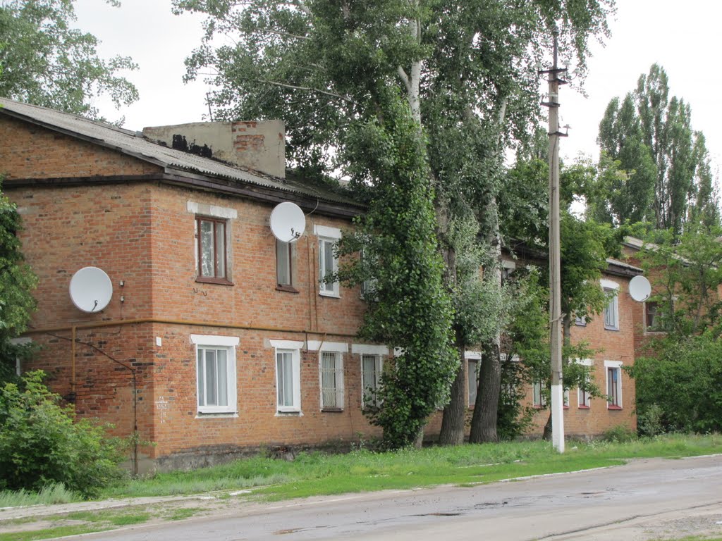 Будинок у Зачепилівці