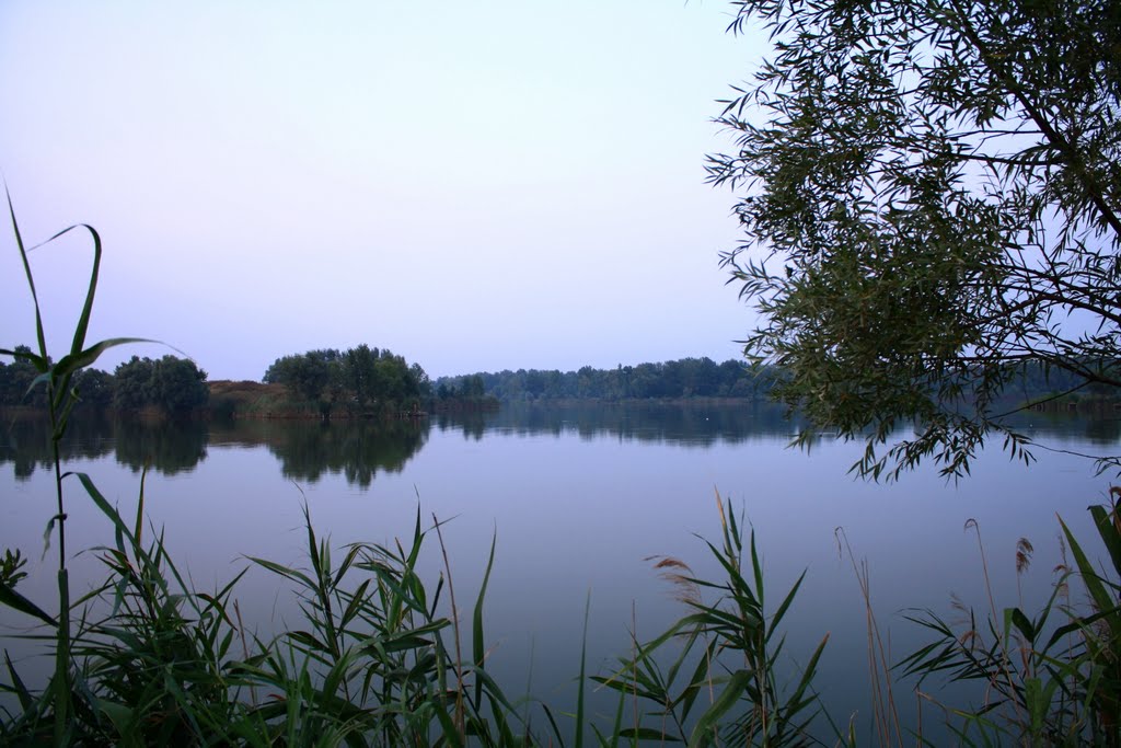 У озера