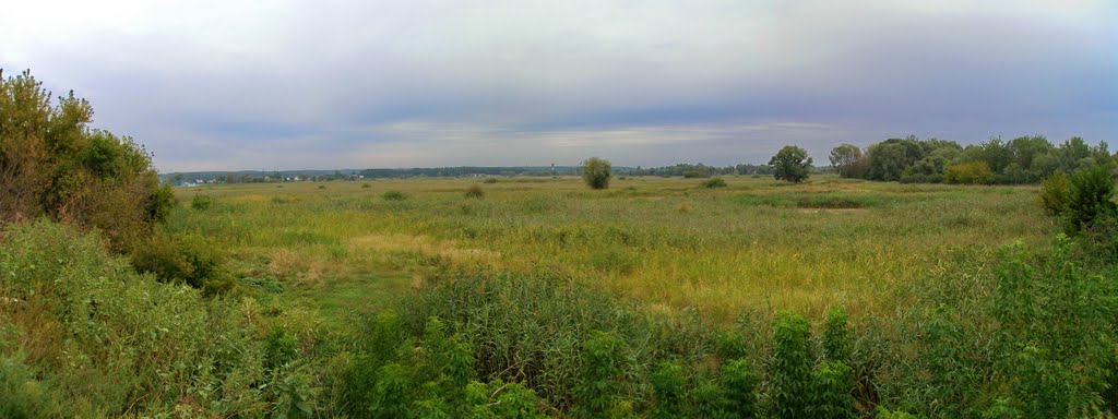 г.Змиев на окраине города (панорама)