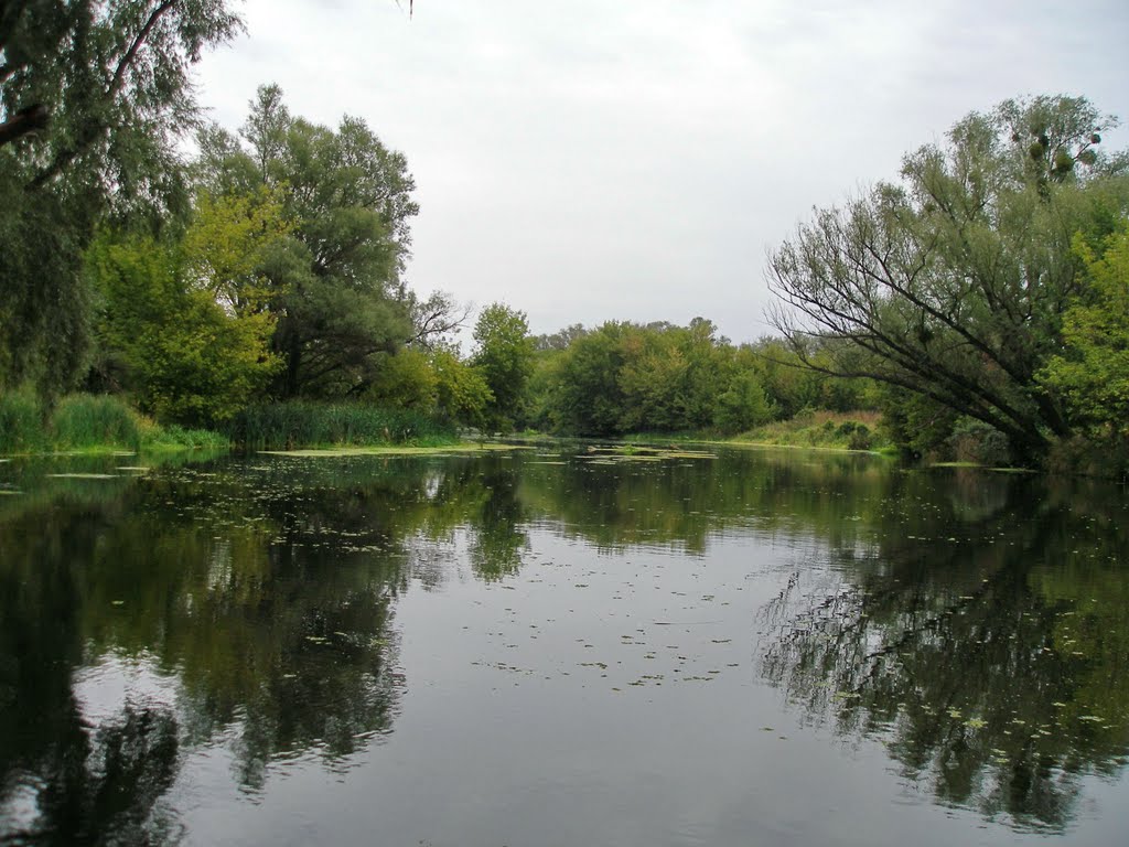 г.Змиев Северский Донец