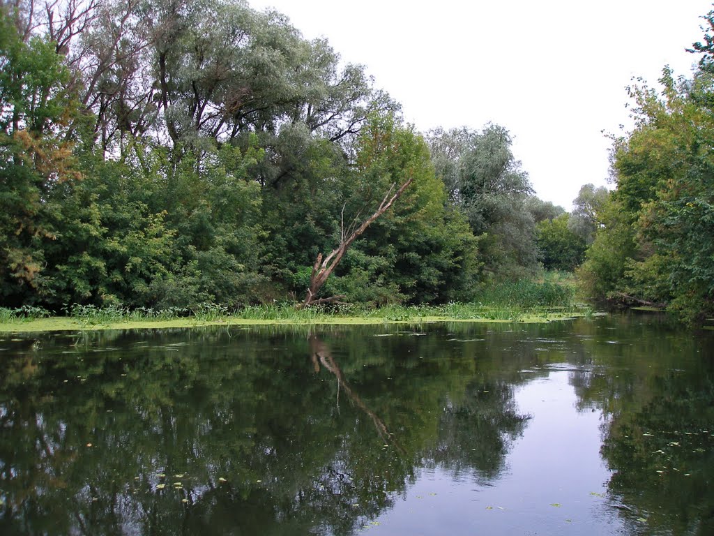 Slobozhans’ke