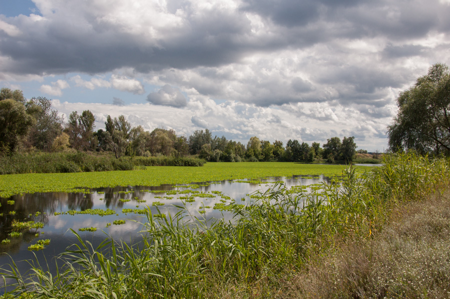 Река Северский Донец (Seversky Donets River)