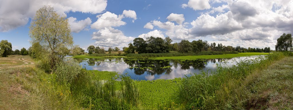 Seversky Donets. Panorama