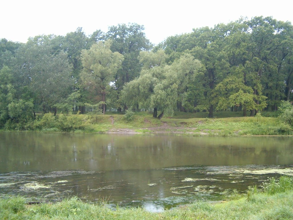 дубовий гай 0