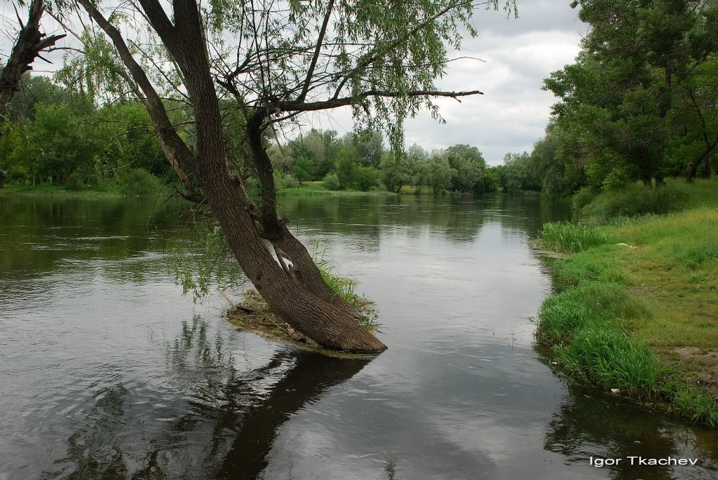 Река С.Донец