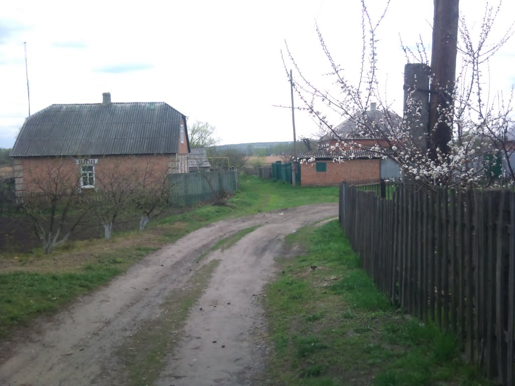 казачья лопань