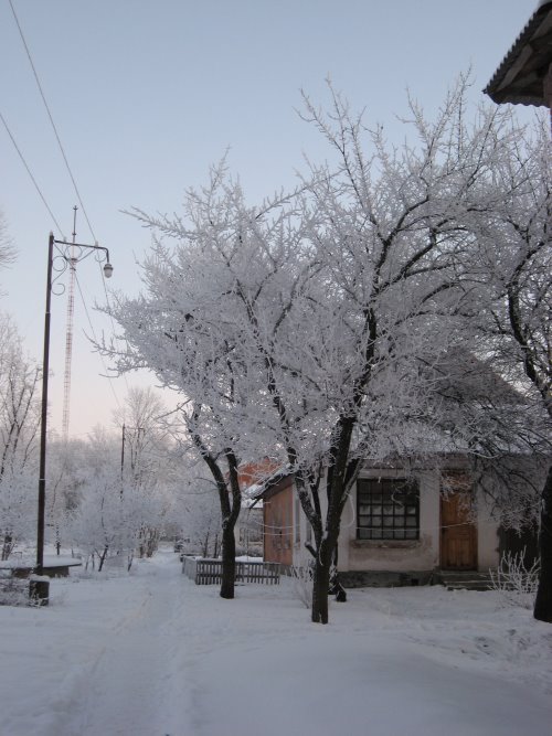 Kegychivka winter