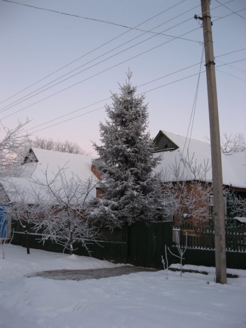 Kegychivka winter2